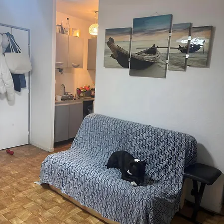 Апартаменты Duplex 150 M De St Cyprien *